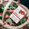 image-289 【現貨秒發】LANA 一代通用煙彈 1代通用主機煙彈 三顆裝 吸氣即亮炫彩特效
